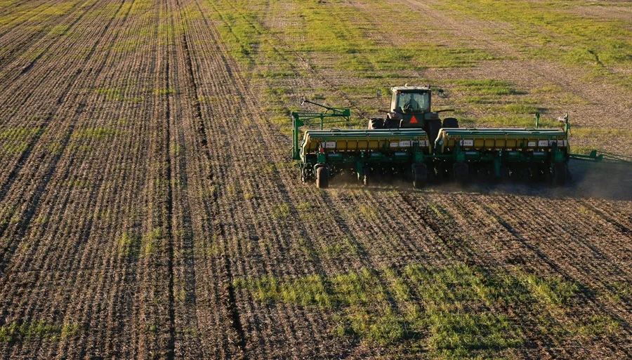 Alto Paraná proyecta una reducción del área de trigo por el retraso de la zafriña y la apuesta a la próxima soja