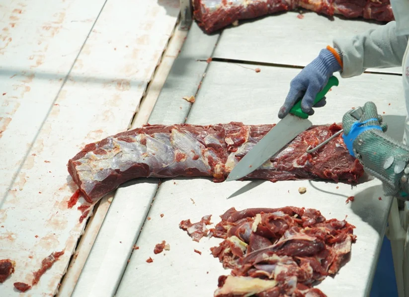 ARP vuelve a poner sobre la mesa la creación del Instituto Paraguayo de la Carne