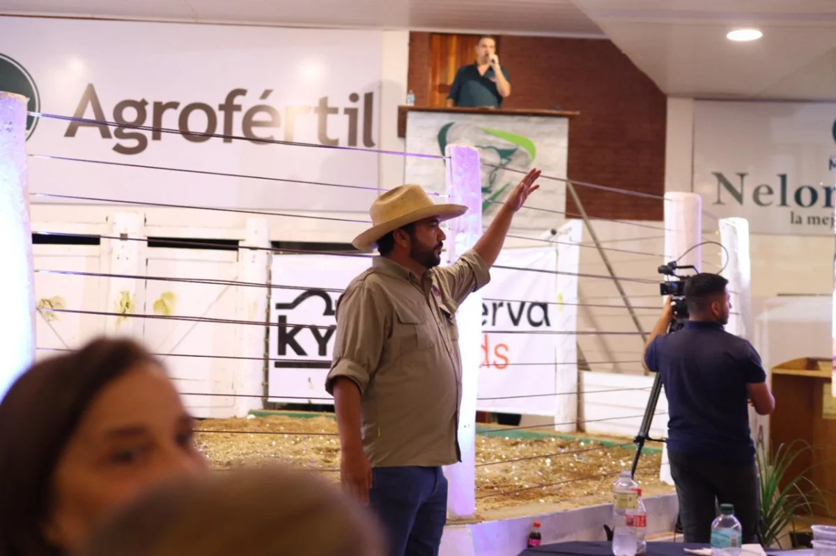 Arroba prepara dos jornadas de ventas en Expo Concepción con más de 50 lotes por feria, este viernes y sábado