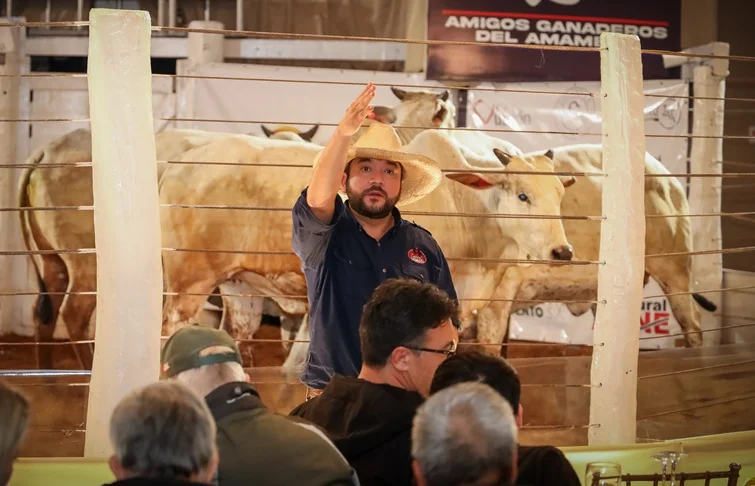 Arroba rematará 1.400 cabezas de invernada feria especial ARP en la Expo Paraguay