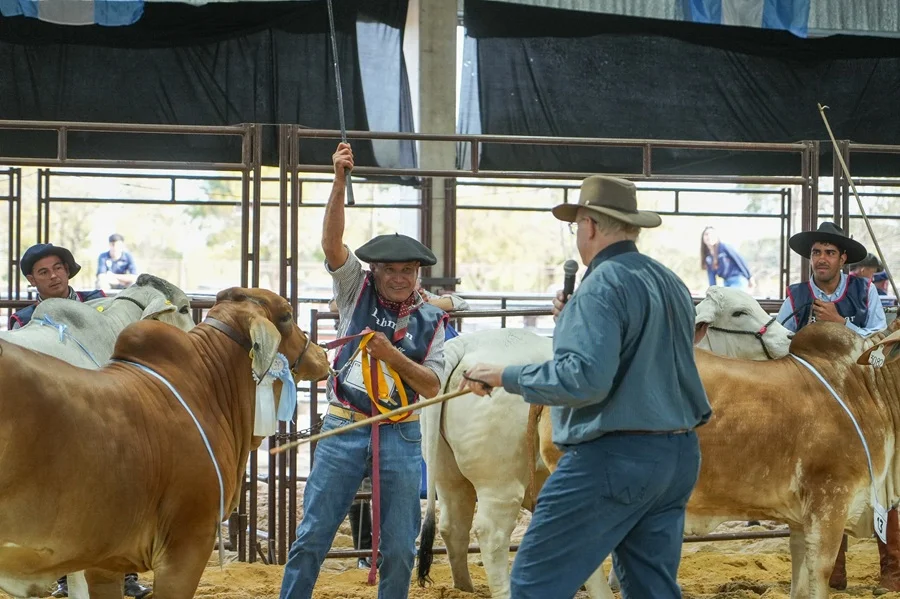 Brahman abrió Las Nacionales de Corrientes con genética de alto nivel y protagonismo formoseño