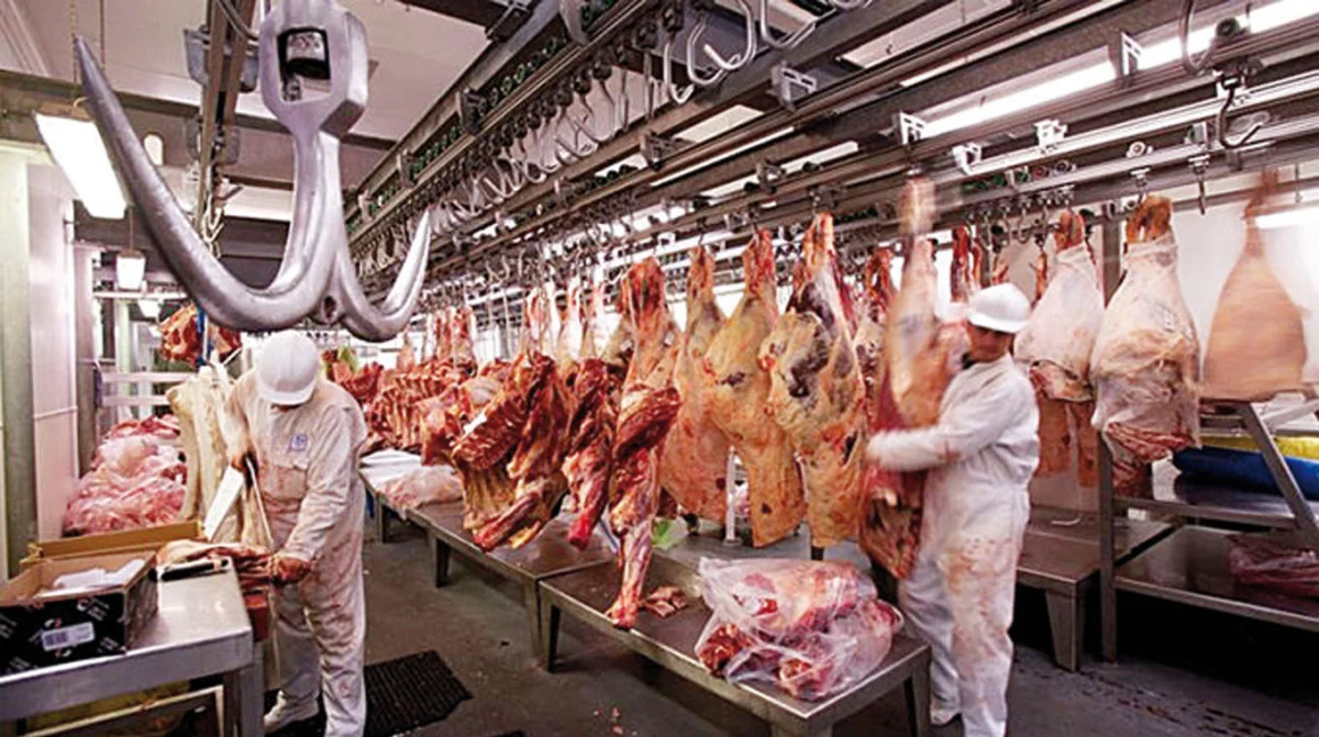 Brasil entraría en una fase de menor oferta de carne en 2027 y reduciría sus exportaciones