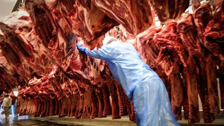 Brasil, faena y producción: las señales que marcan el negocio ganadero