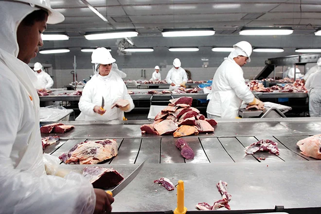 Brasil marcó en junio el mayor volumen del año en exportaciones de carne vacuna
