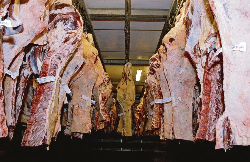 Brasil mueve el mercado de la carne: las claves del negocio ganadero en Valor Agregado