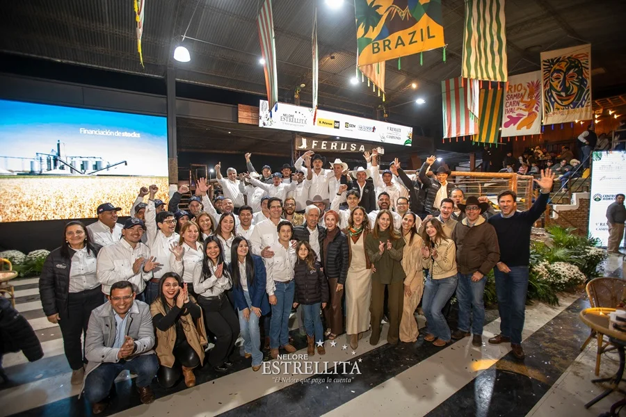 Carnaval de Campeones de Nelore Estrellita: toros promediaron G. 45,1 millones y hembras G. 58,9 millones