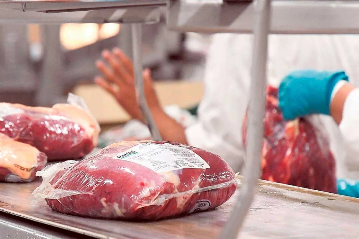 Carne, clima y reposición: las señales que marcarán el segundo semestre del agro