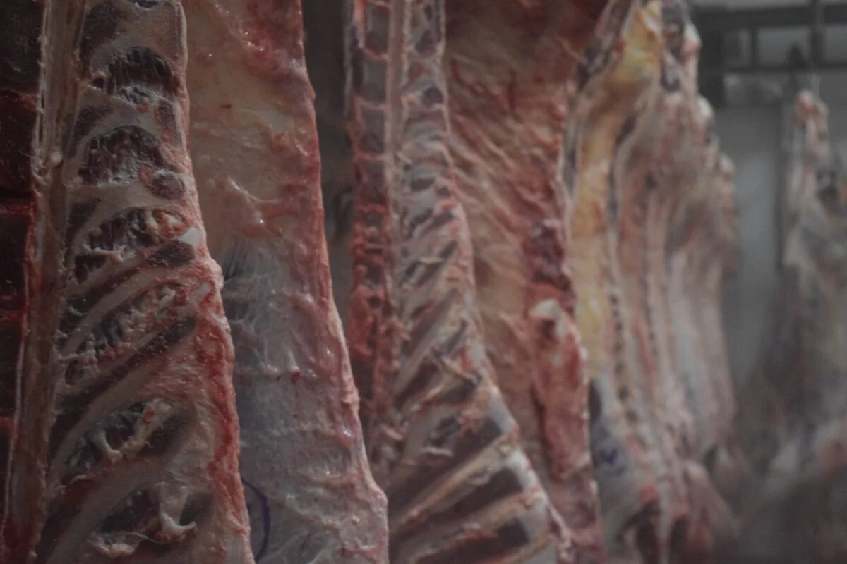 Carne paraguaya: julio con más exportación y el valor medio volvió a marcar un máximo histórico