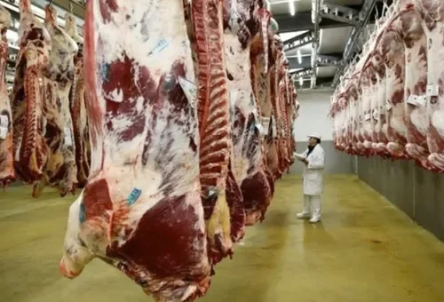 Chile volvió a liderar las compras de carne paraguaya en agosto, pero el precio siguió bajo presión