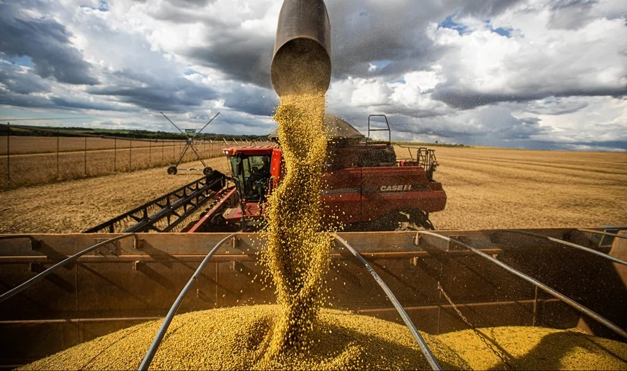 Clima favorable en soja y alerta en la zafriña: el MAG monitorea humedad y fechas de siembra