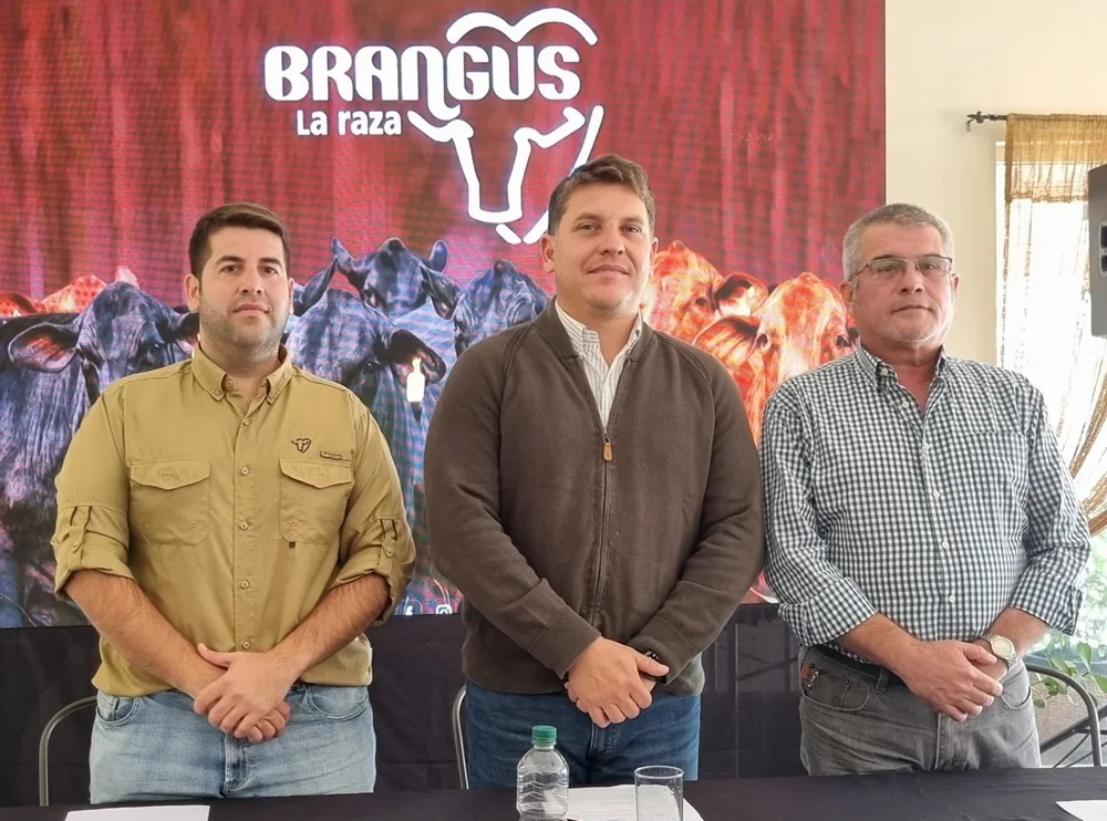 Competirán más de 800 animales Brangus en la Nacional de Otoño 2026 de la raza