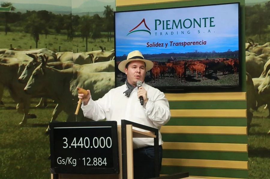 Con alta demanda previa, Piemonte remate vientres preñados de Ganadera La Blanca, genética 4×4