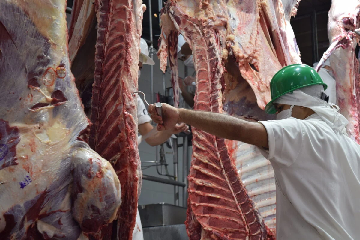 Brasil proyecta caída del 5,3% en producción de carne vacuna para 2026, aunque mantendrá niveles históricos
