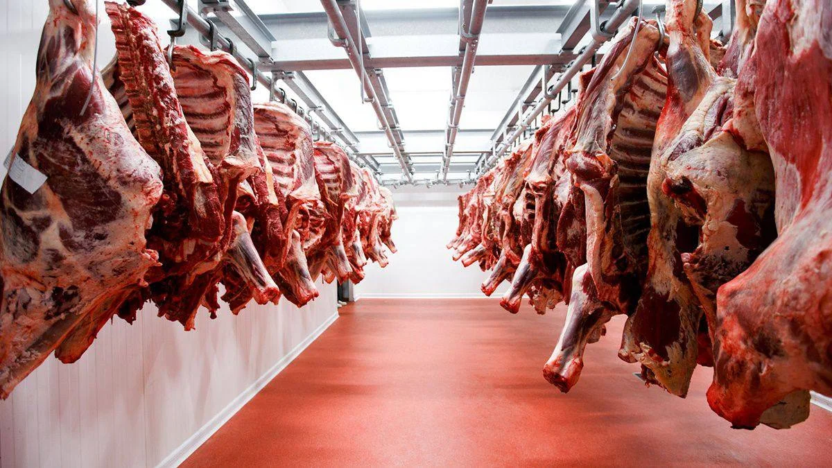 Cuadrillas kosher operarán hasta septiembre y anticipan una nueva temporada de fuerte demanda ganadera