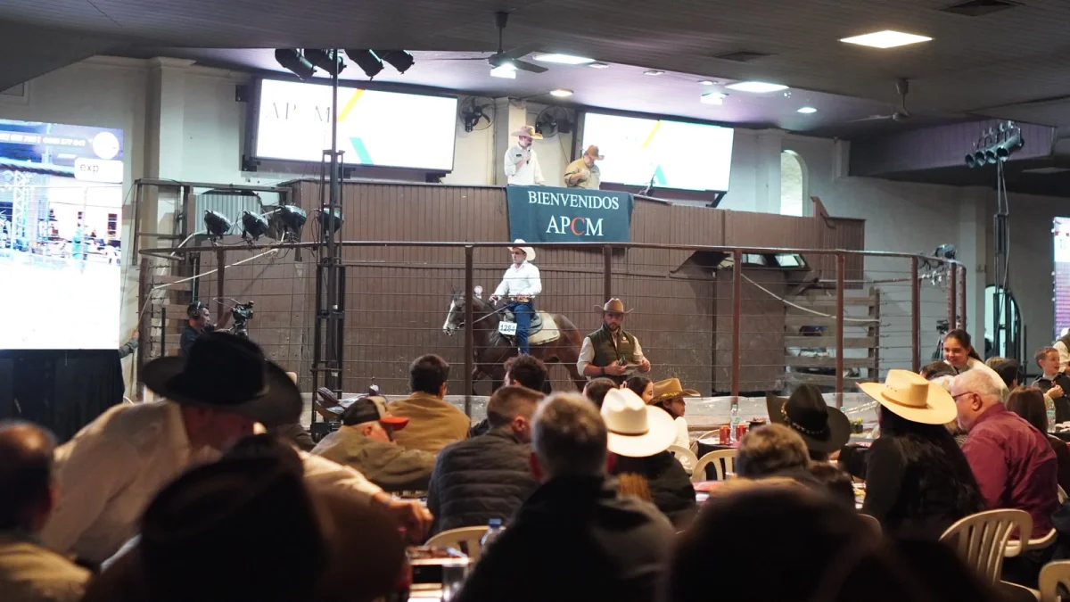 Cuarto de Milla volvió a marcar récords en Expo Paraguay con un promedio de G. 38 millones por ejemplar