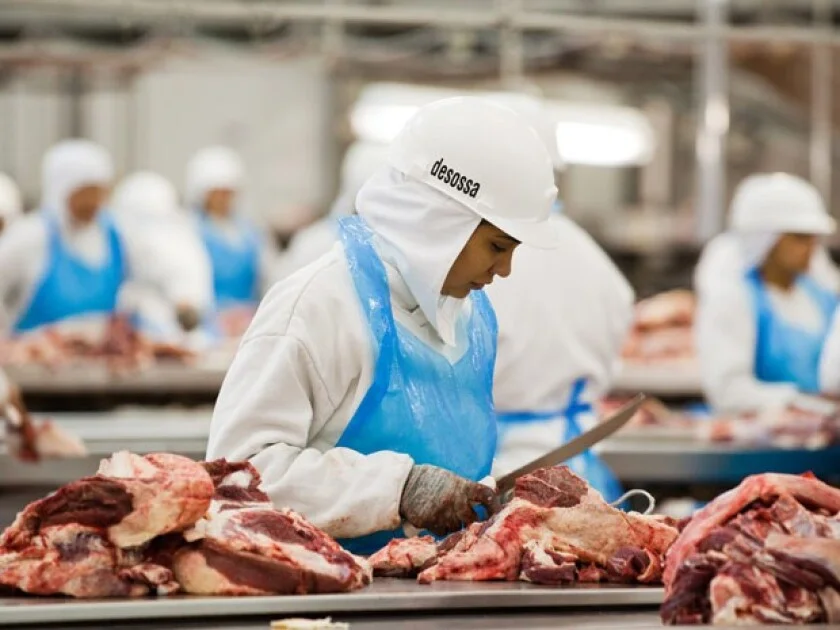 Desde Europa advierten que el regreso de la carne brasileña podría demorar hasta dos años