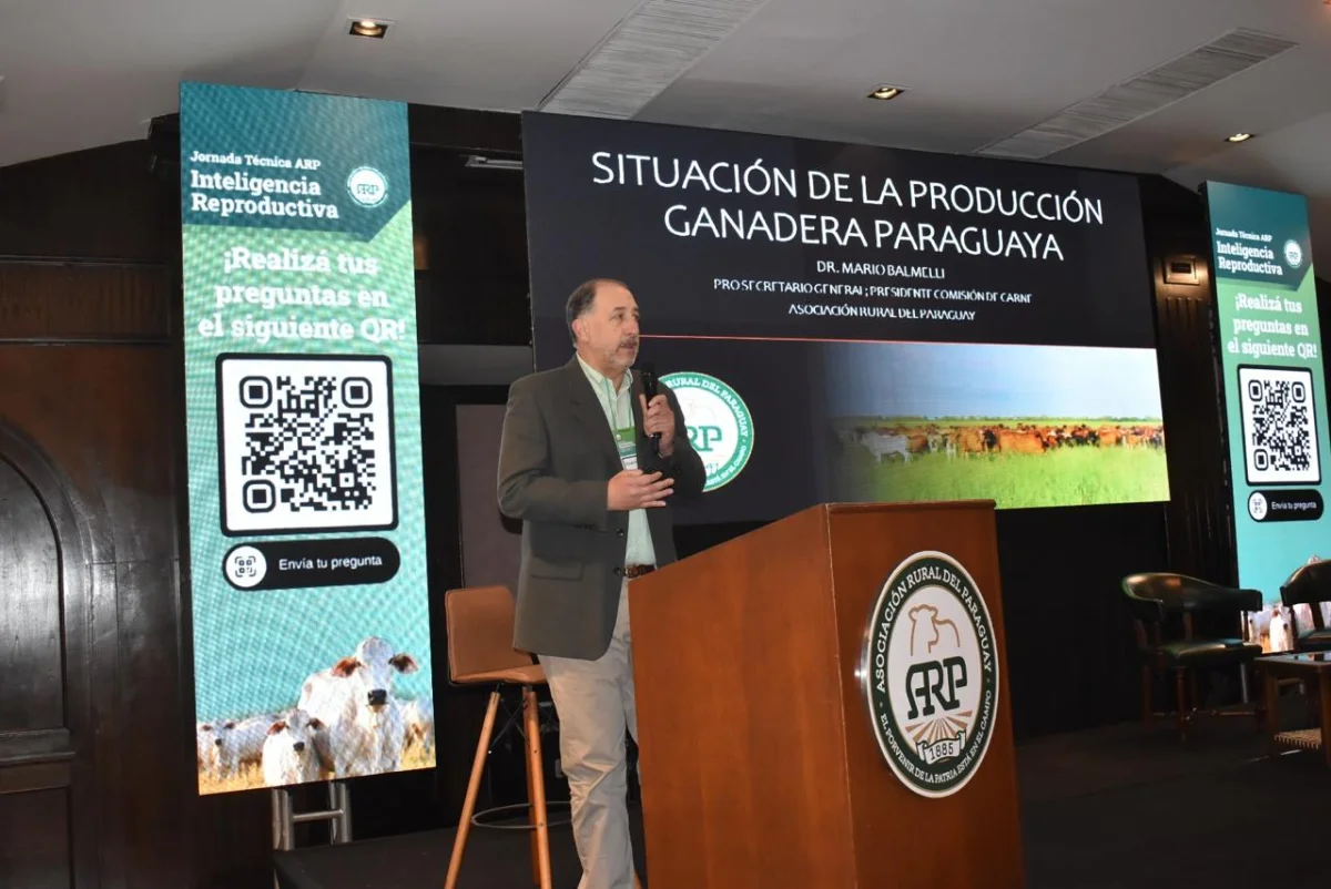 Destete del 57% y altas mermas por factor humano: las variables que desafían a la reproducción bovina
