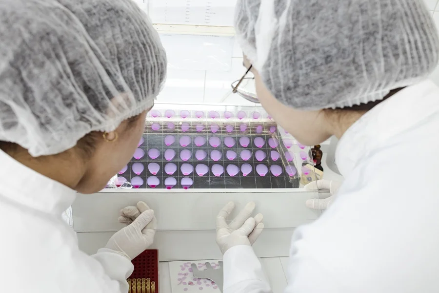 Diagnóstico reproductivo: la herramienta que puede transformar pérdidas invisibles en más terneros y mayor rentabilidad