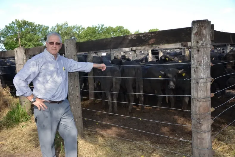 “El búfalo duplica la rentabilidad del bovino en campos marginales”, afirmó el especialista Gustavo Crudeli