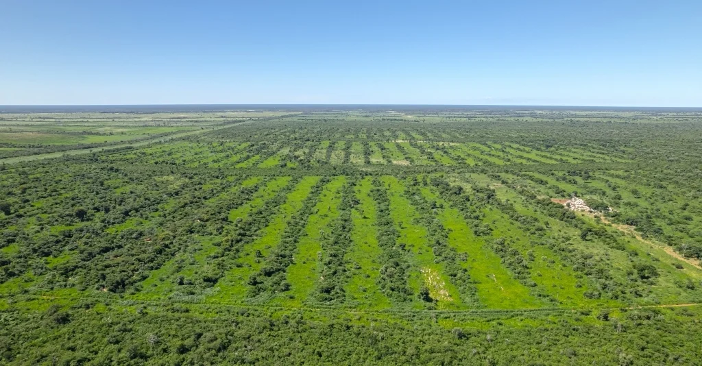 El Chaco mostrará sus oportunidades productivas y de inversión en una charla especial en Expo Pioneros