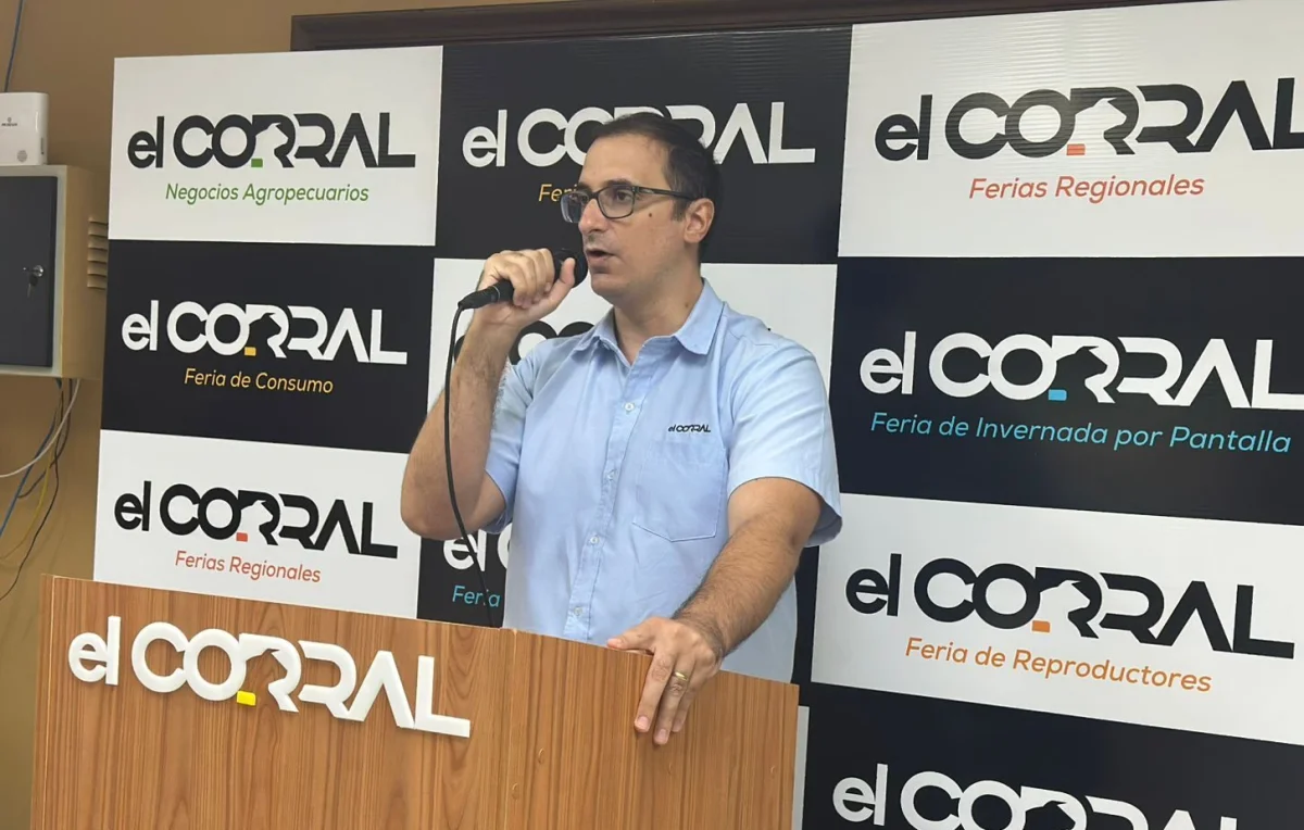 El Corral remata más de 900 vacunos en feria especial de la Regional Caaguazú, hoy jueves en Expo Paraguay