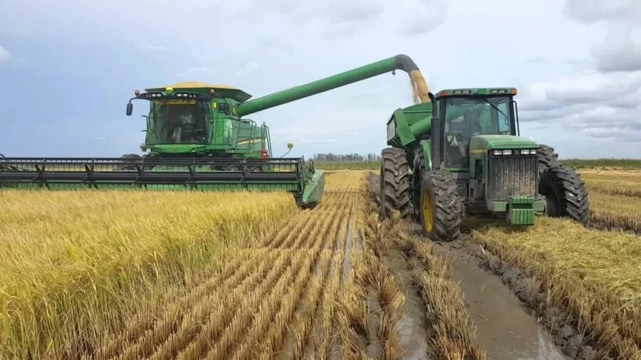 El crecimiento del arroz impulsa una nueva demanda tecnológica en el agro paraguayo