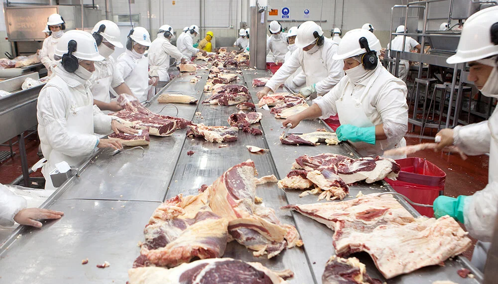El Novillo Tipo llegó a US$ 1.690 en julio: subió el precio del ganado y el margen industrial
