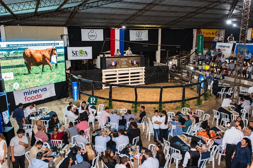 El Rodeo remata genética “seleccionada y productiva” de Rural Ganadera, este viernes desde Pilar