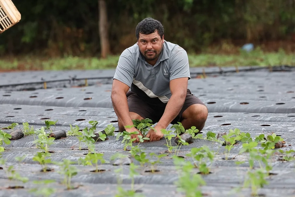 Empleo rural crece 3% y suma más de 10.500 nuevos trabajadores en Paraguay