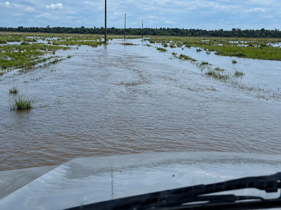 “Es una situación de emergencia, hay que salvar el ganado”: fuertes inundaciones en Misiones