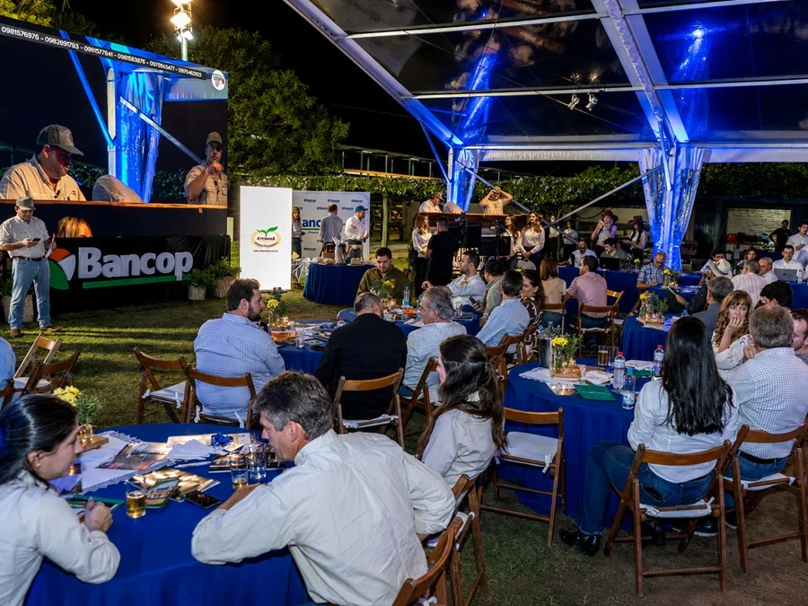 Este viernes, Noche Ganadera de Bancop y El Rodeo ofrece 3.500 vacunos de invernada con financiación especial