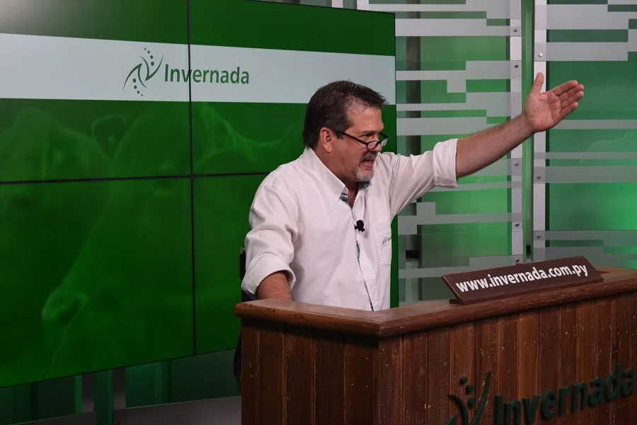 Firme demanda por reposición: lotes livianos alcanzaron más de G. 26.000 por kilo