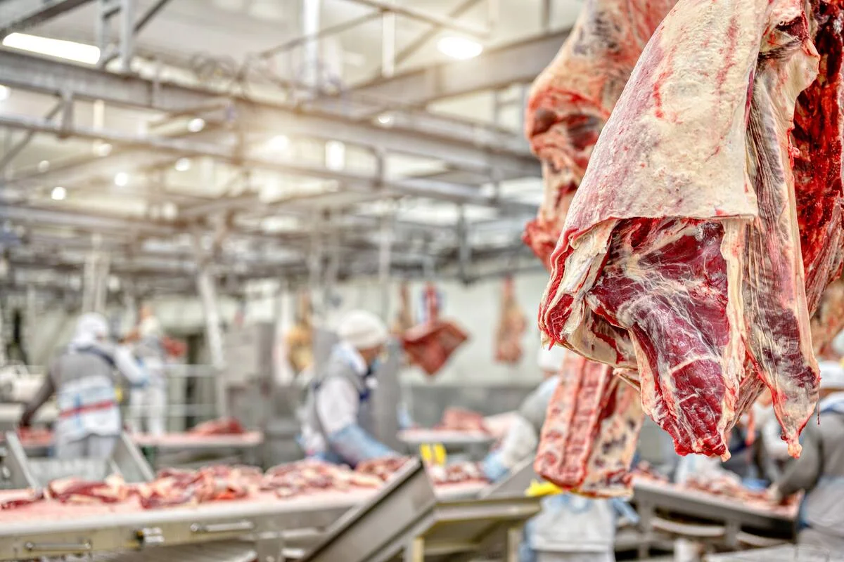 Frigoríficos argentinos alertan por la falta de ganado y reclaman medidas para sostener el crecimiento exportador