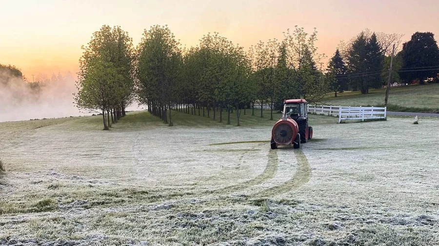 Frío extremo: advierten mínimas cercanas a 0° y piden reforzar el bienestar animal