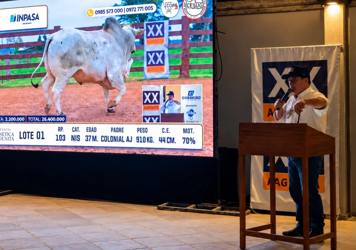 Fuerte demanda en el Chaco: Sola Marca dispersó toda la oferta de toros de Estancia Lagunita