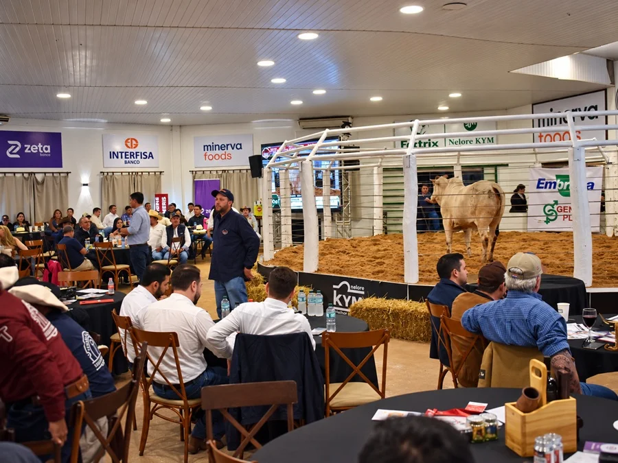 Fuerte puja por toretones, ovinos y genética marcó las ventas de Arroba Remates en Amambay