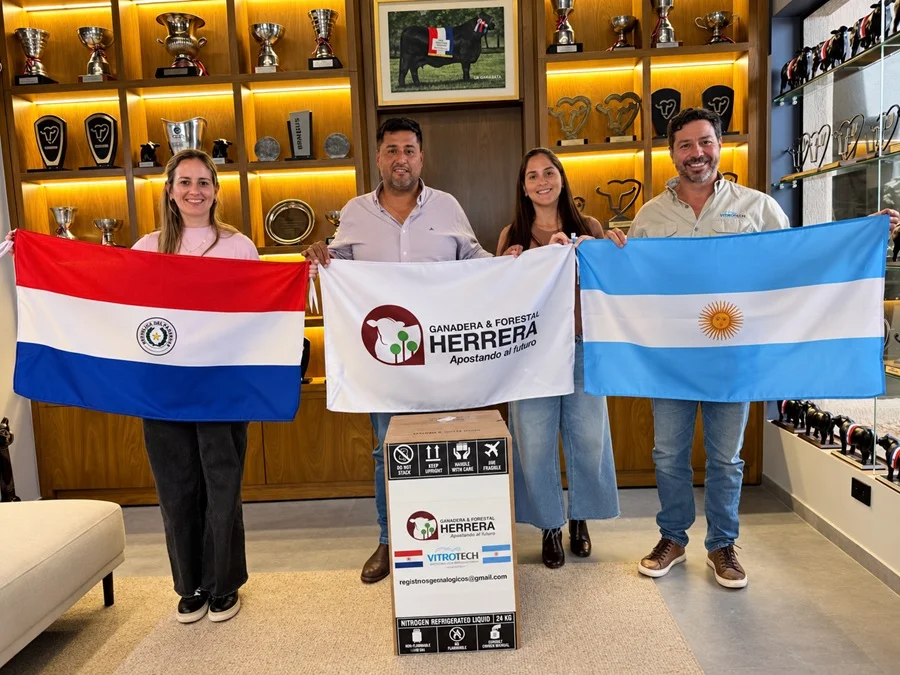 Genética paraguaya cruza fronteras: Ganadera & Forestal Herrera exportó embriones Brangus a Argentina