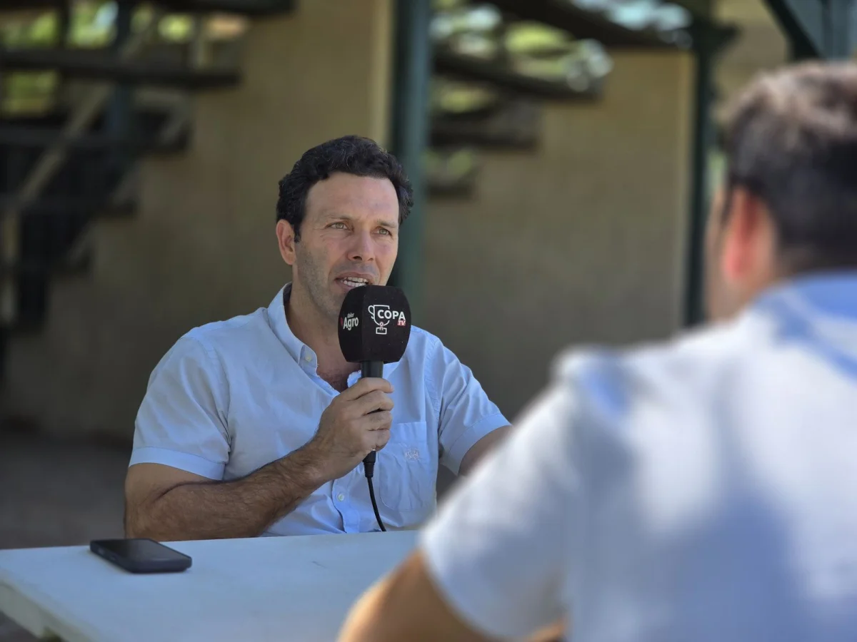 “Hay una necesidad imperiosa de más cantidad de terneros”, afirmó Ignacio Llano