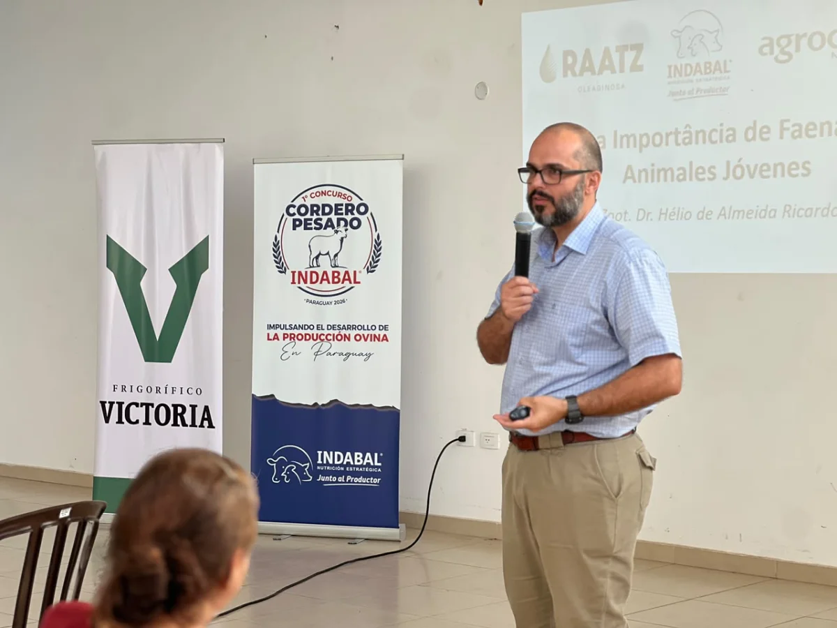 Indabal, junto a Frigorífico Victoria, impulsan el primer Concurso de Corderos Pesados del país