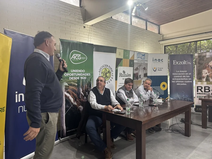Industriales uruguayos defienden la vacunación contra la aftosa: “Tenemos poco para ganar y muchísimo para perder”