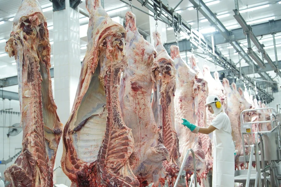 La faena de vacunos creció 10,6% en julio y alcanzó el mayor nivel mensual de 2026