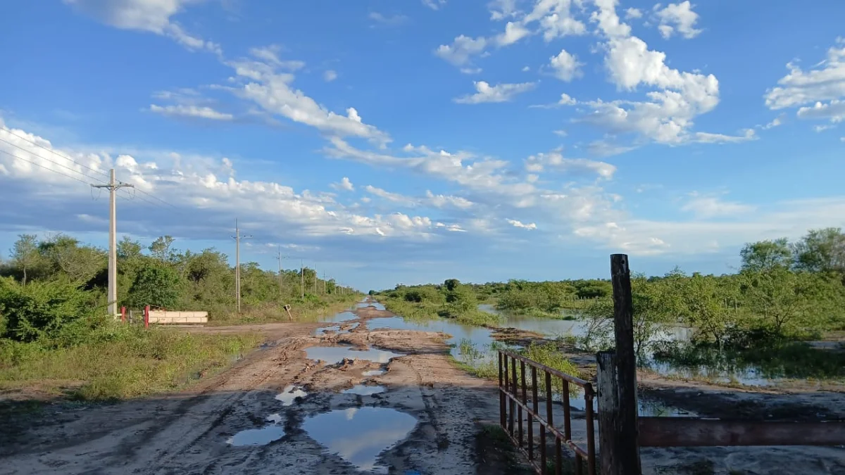 La ganadería mira con atención la llegada de El Niño por el riesgo logístico y los excesos hídricos