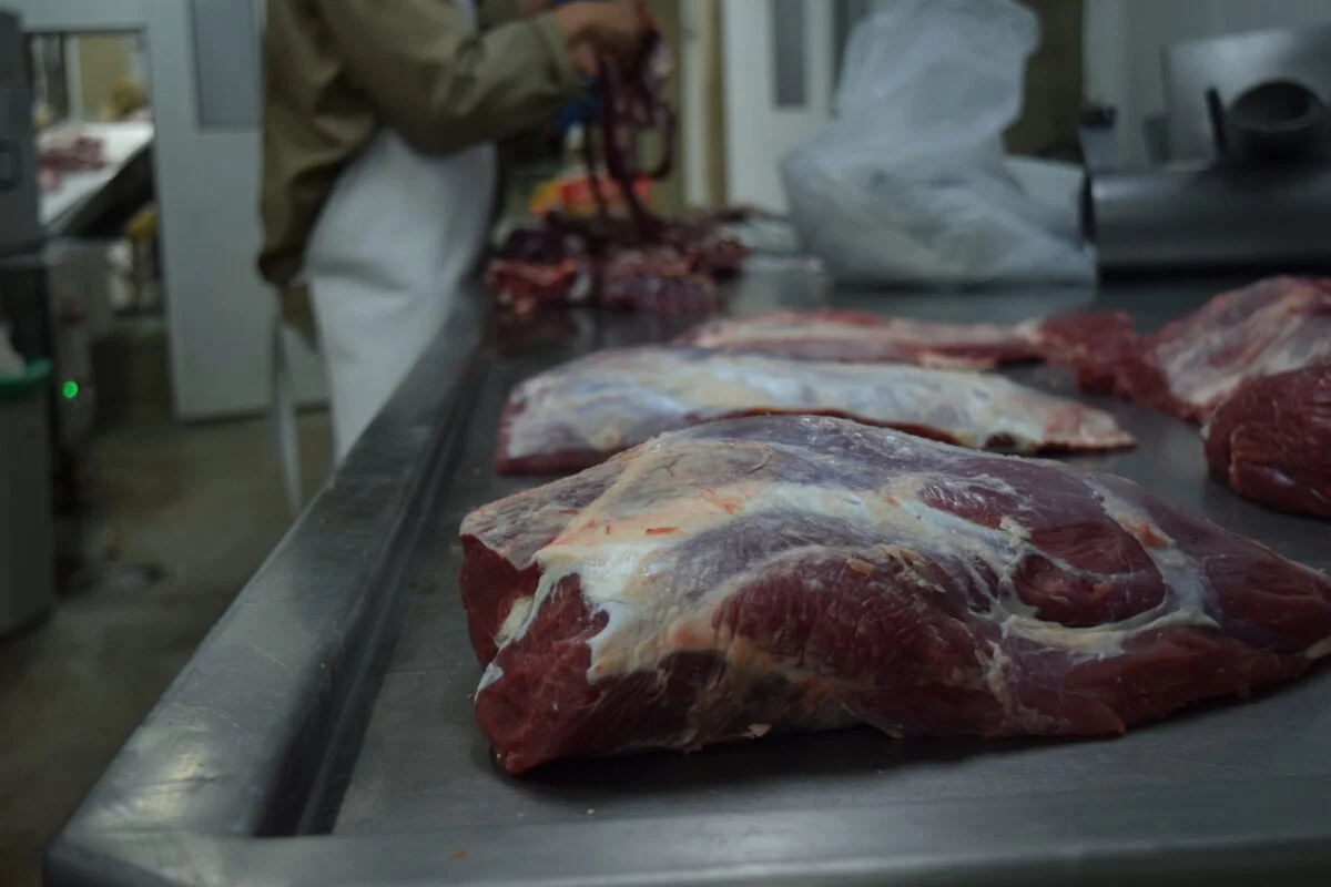 La industria acelera la faena en junio: iguala el mayor nivel de actividad del año y se valoriza el ganado