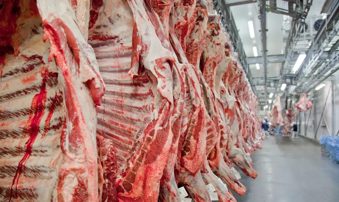 La industria elevó el uso de capacidad en mayo, aumentó la presión de compra y mejoró la competencia por el ganado