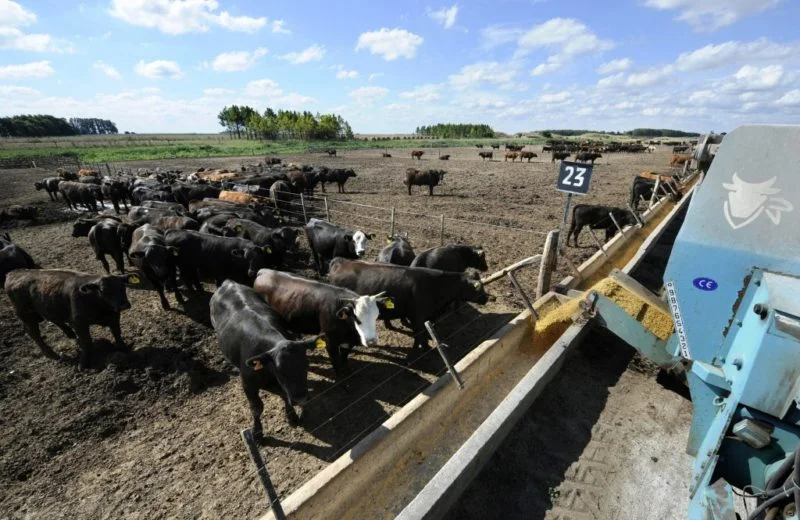 La producción de carne vacuna en Estados Unidos seguirá en baja y recién tocaría piso en 2027