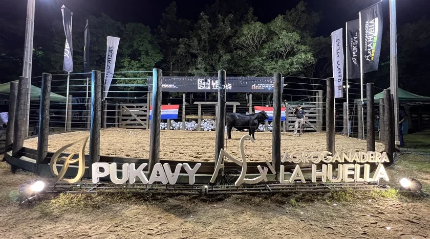 Ladies Night ofrece una selección mundialista: El Rodeo remata 64 hembras Brangus, este viernes
