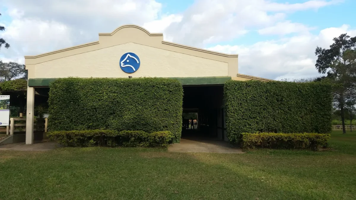 Las Talas avanza en la exportación de genética y prepara nuevos envíos de embriones Brahman a Bolivia