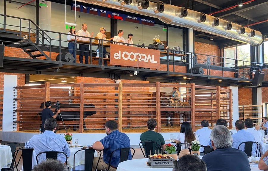 Los Elegidos de El Corral colocó toda la oferta y confirmó firme interés por reproductores