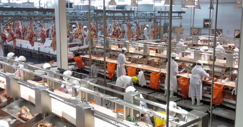 Los frigoríficos operaron al 46% de su capacidad en mayo y el mercado volvió a mostrar señales de tensión