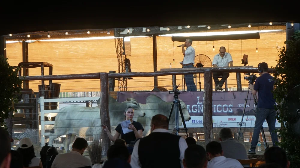Los Magníficos colocó 456 toros a más de Gs. 20,6 millones y mostró una fuerte demanda por toretones